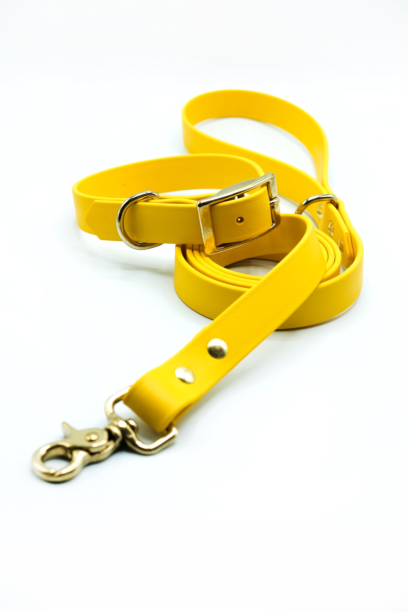 Yellow Collar