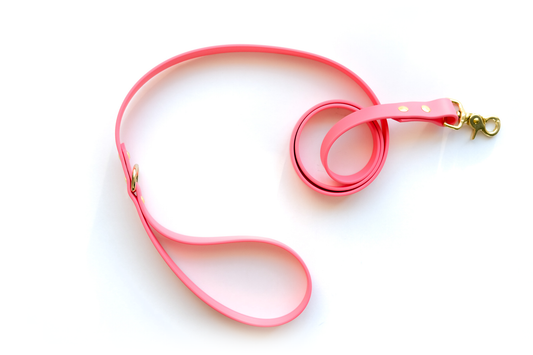 Coral Leash