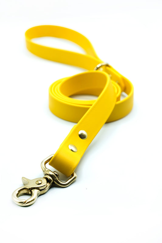 Yellow Leash