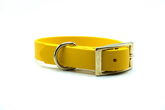 Yellow Collar