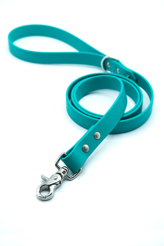 Teal Leash