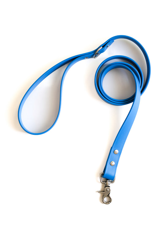 Sky Blue Leash