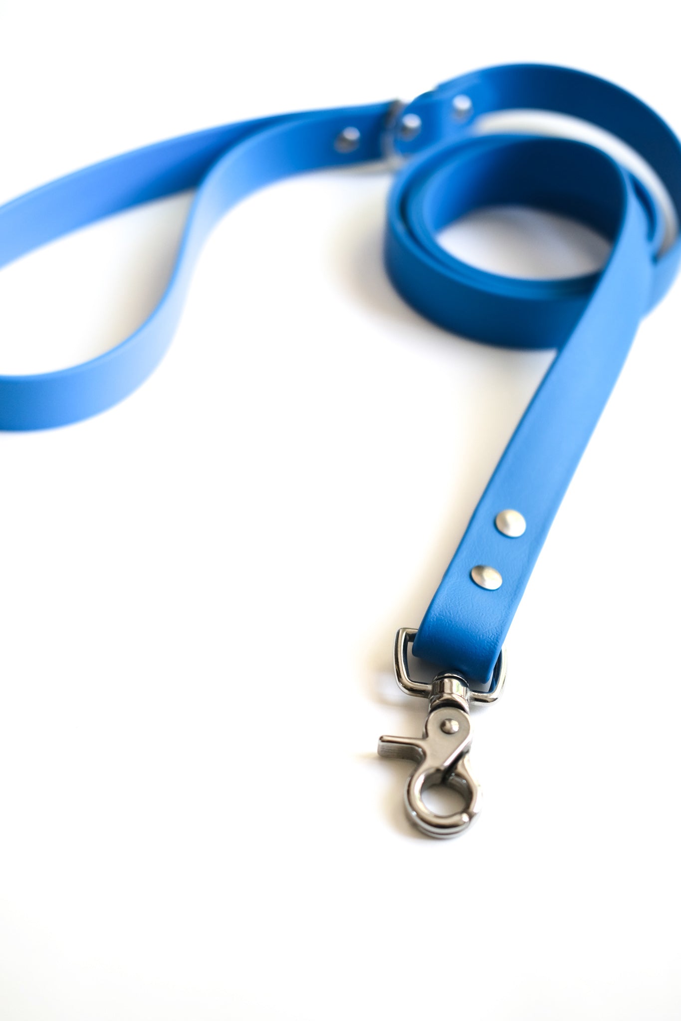 Sky Blue Leash