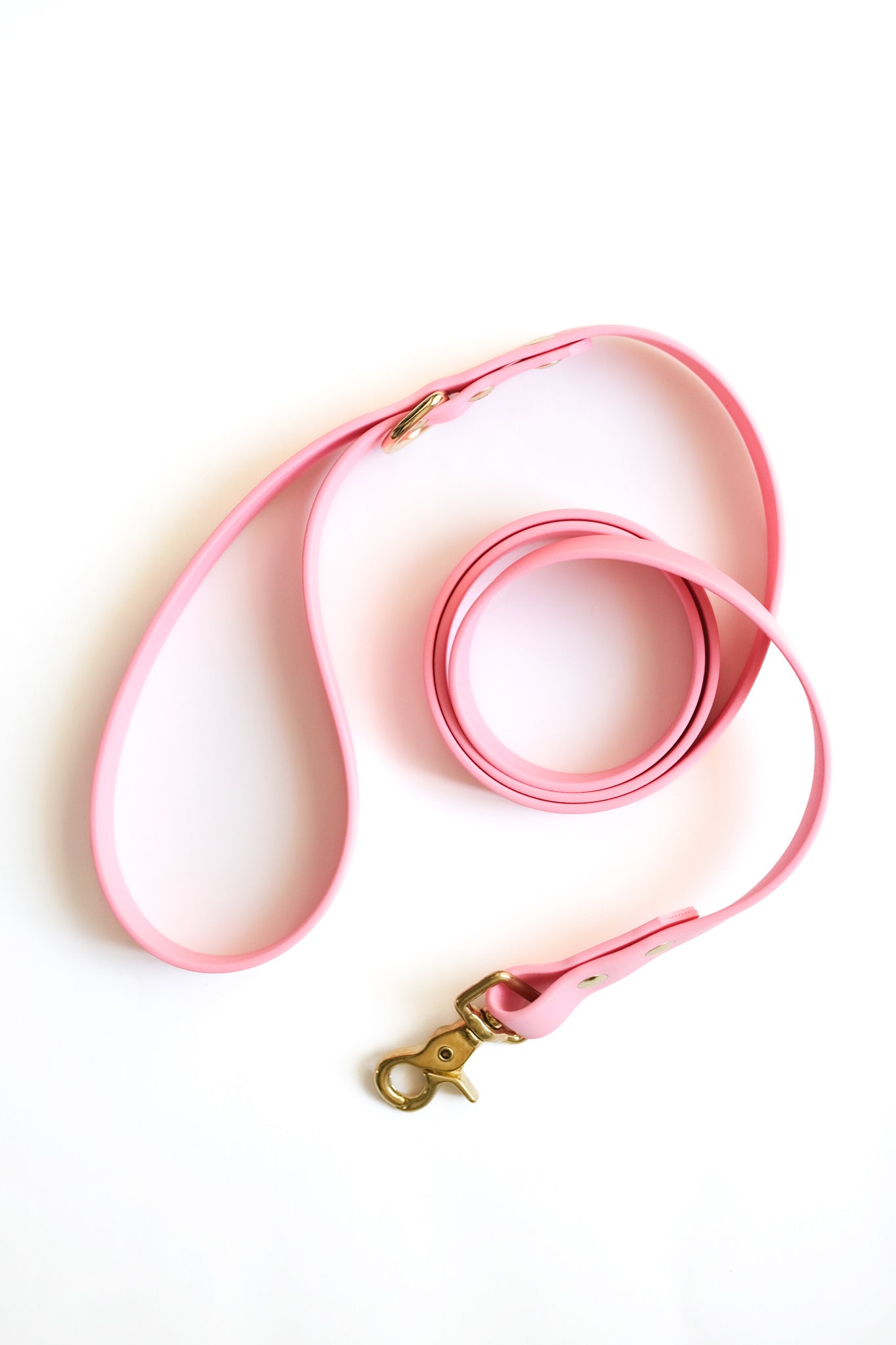 Bubblegum Leash