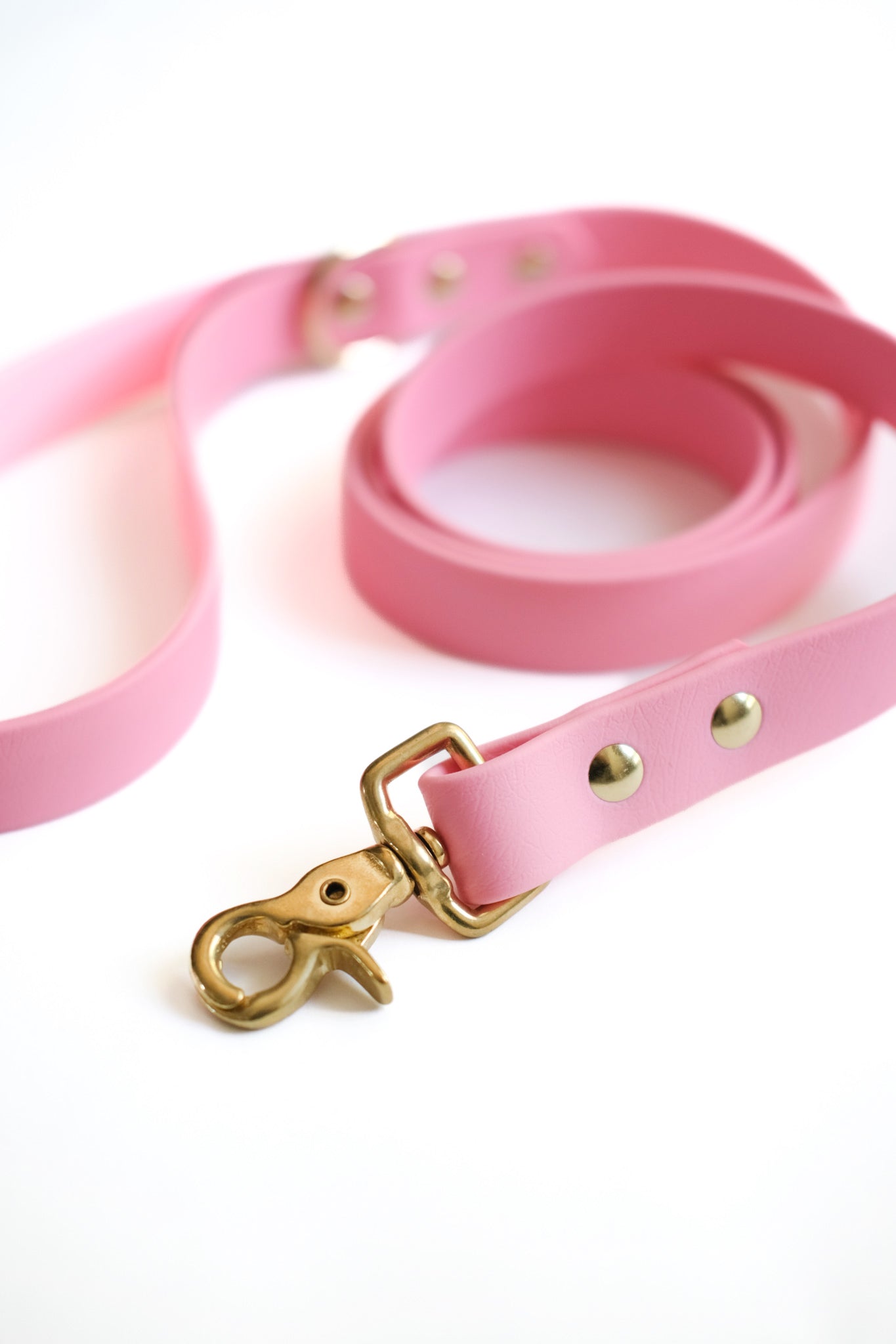 Modern dog leash best sale