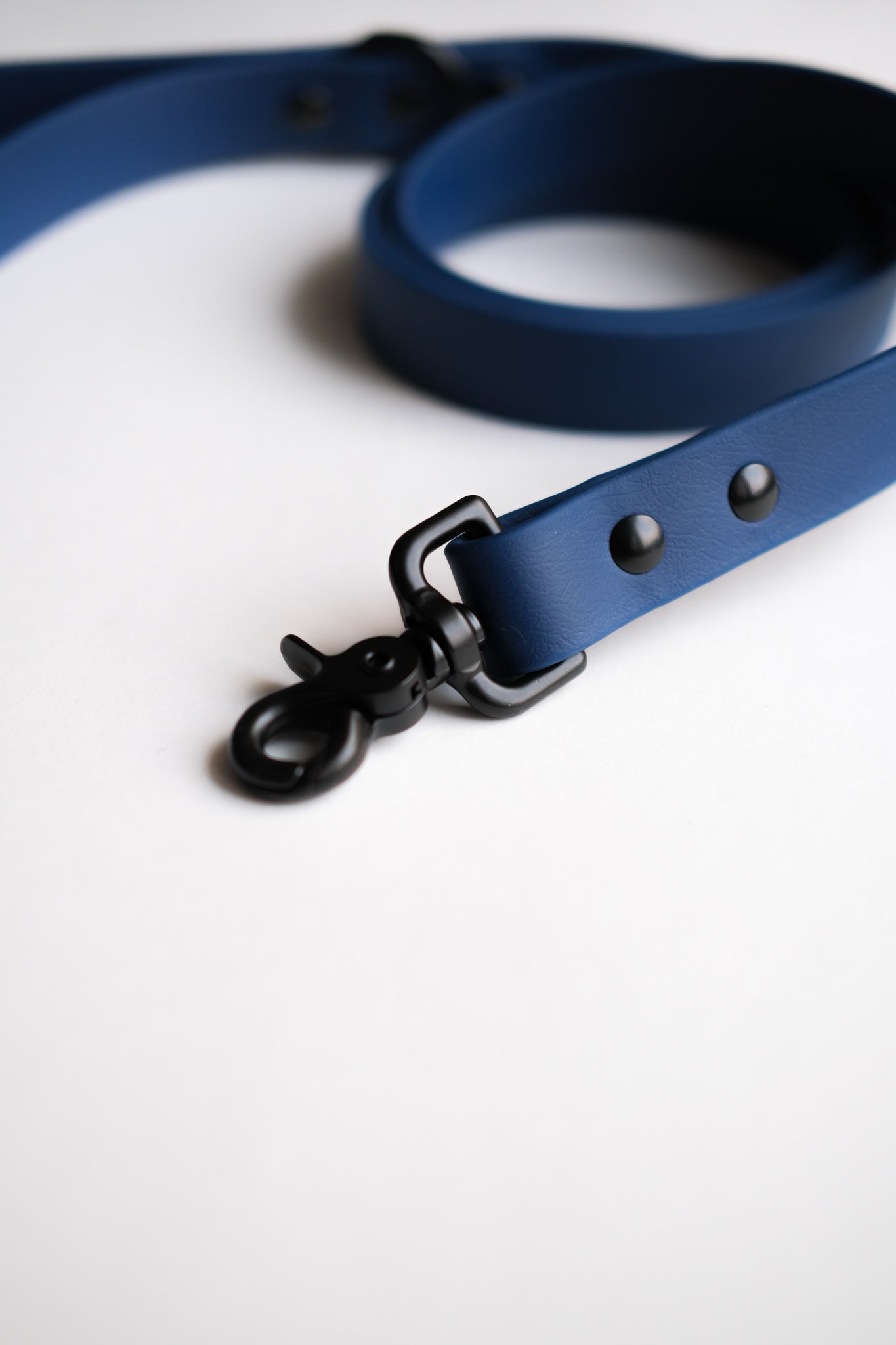 Navy Leash