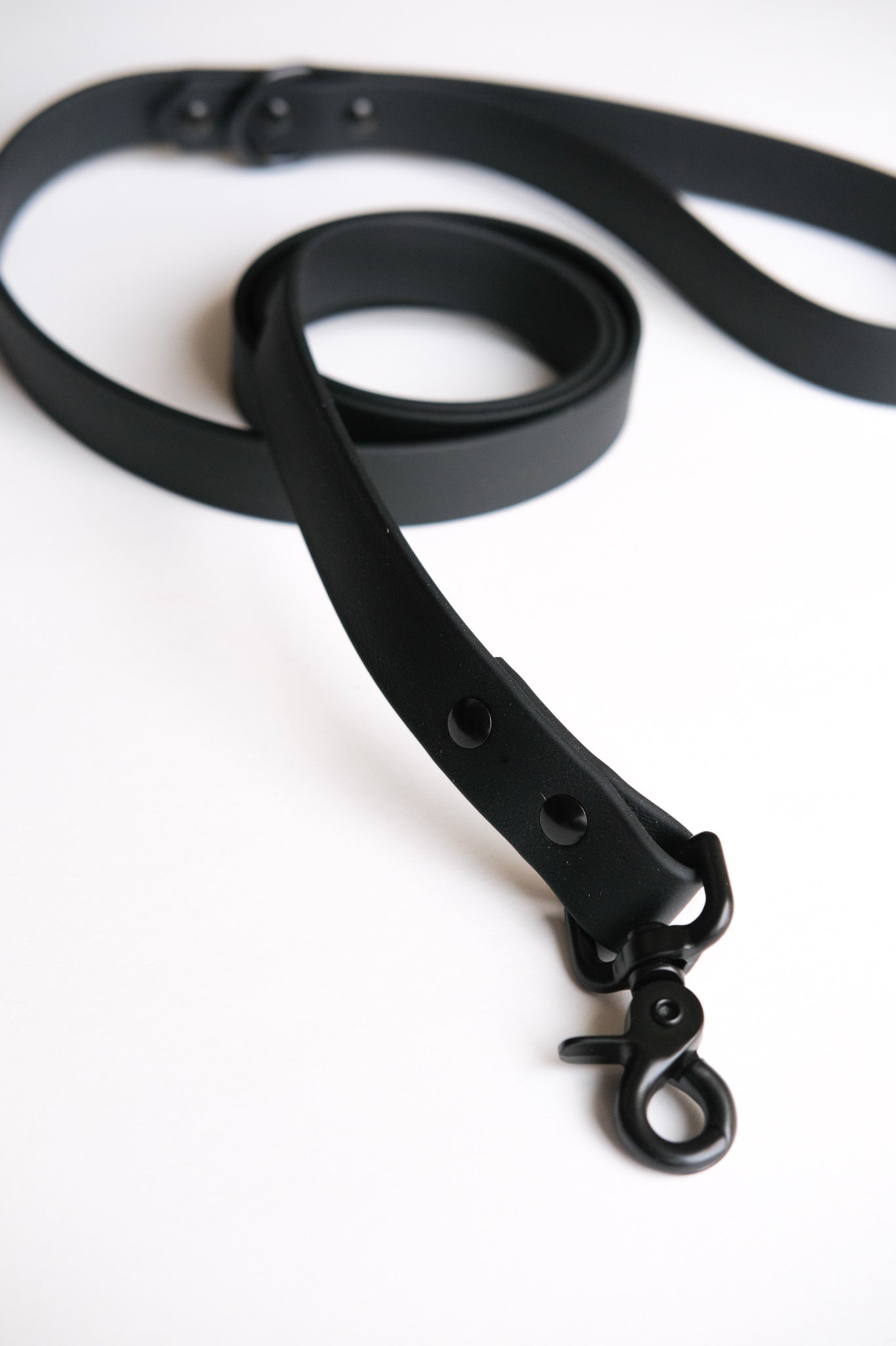 Black Leash