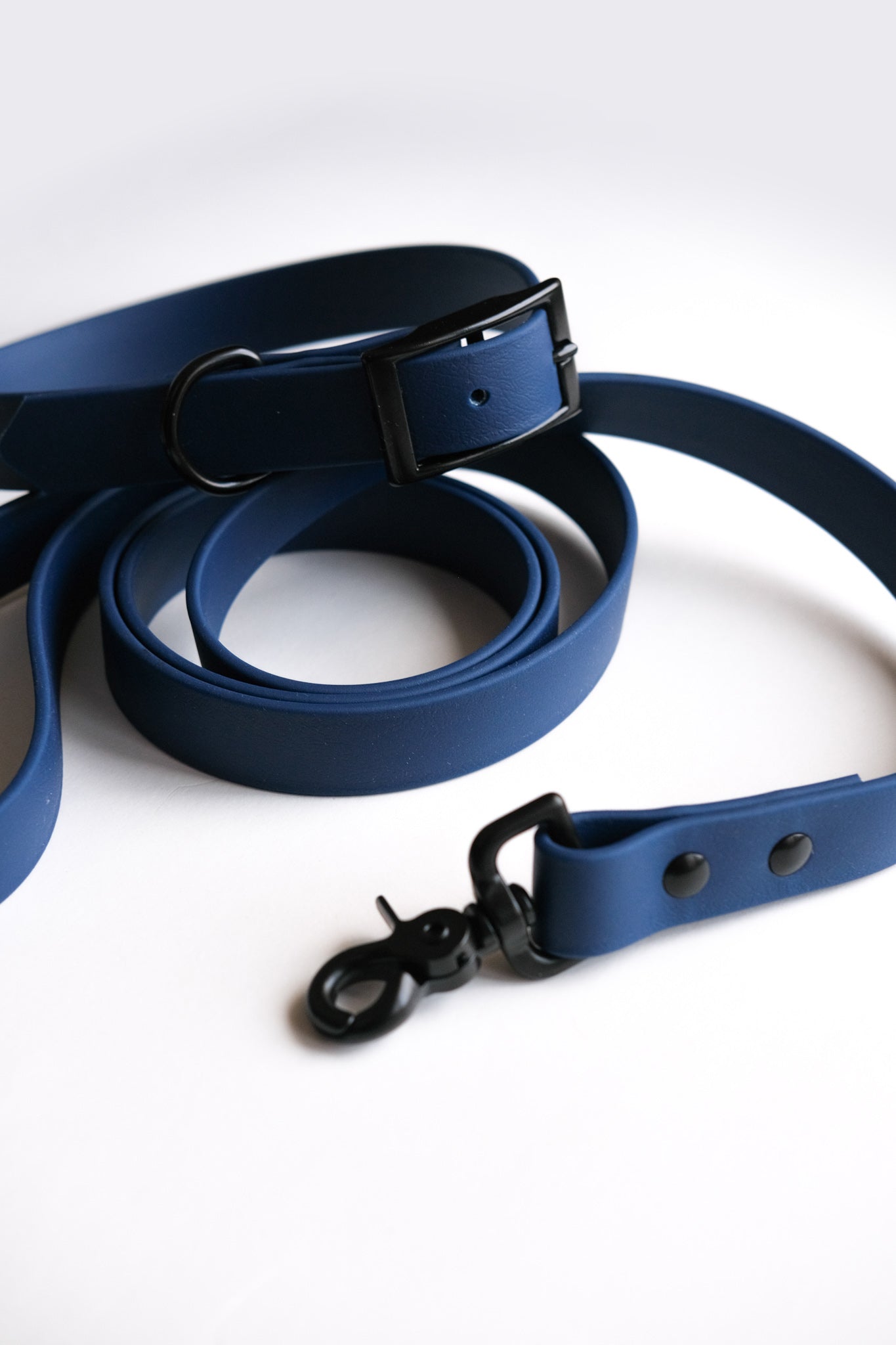 Navy Leash